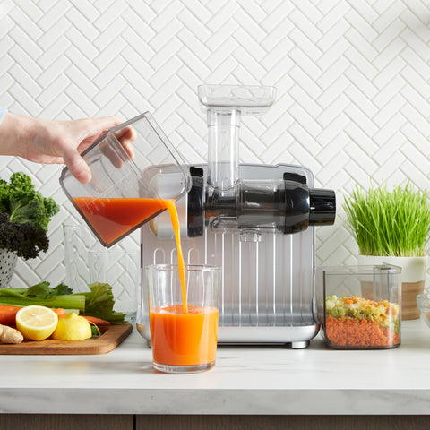 Omega Cold Press 365 Masticating Slow Juicer with On-Board Storage, in Silver