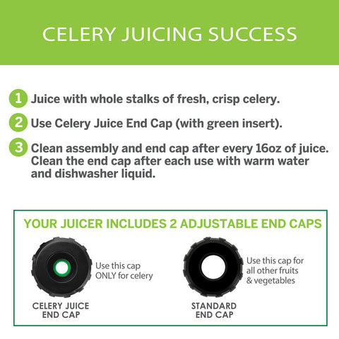 Cold Press Celery Juicer (MM900HDS)