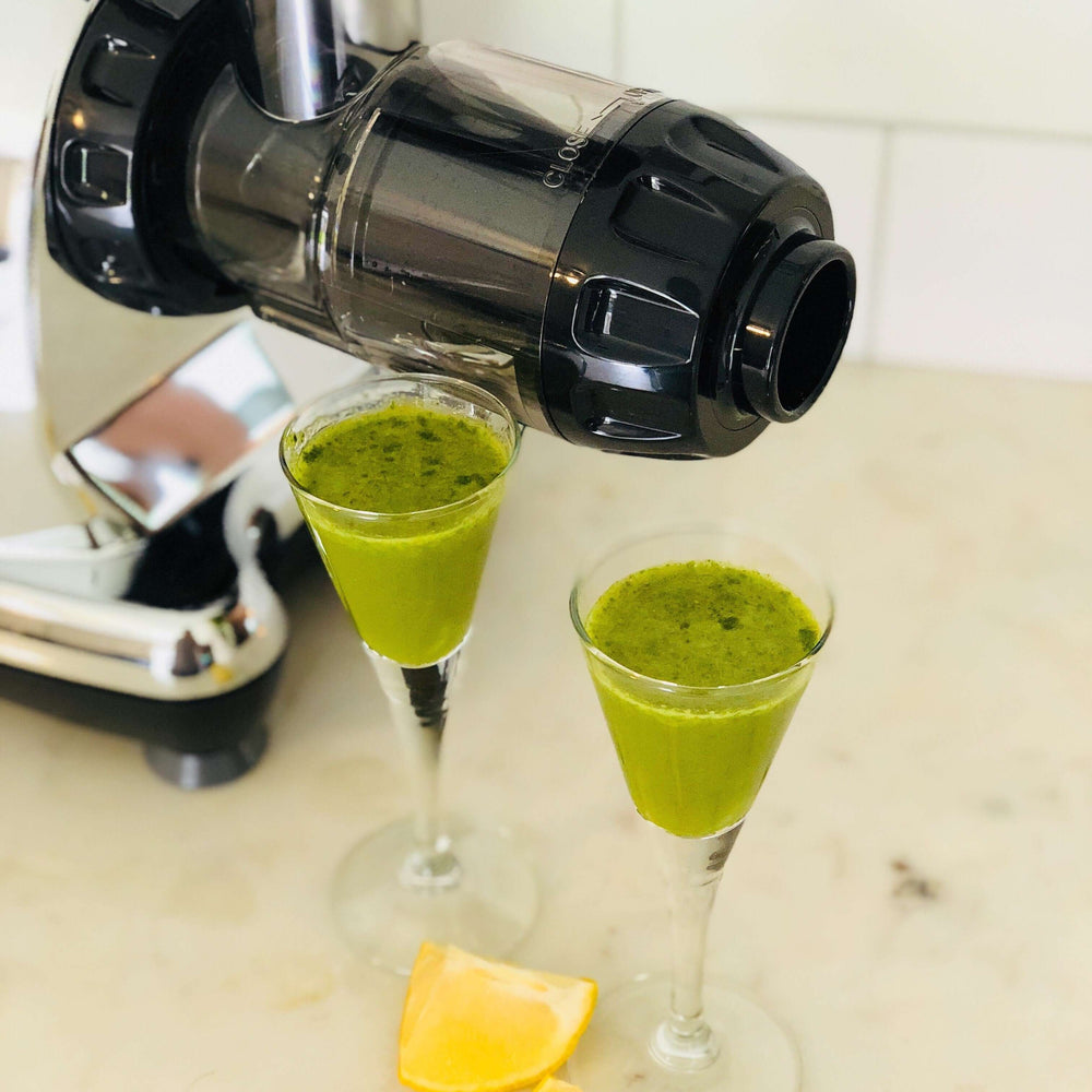 Buy Champion Juicer Greens Attachment Grind Wheatgrass And Other Leafy  Greens Online at desertcartSeychelles