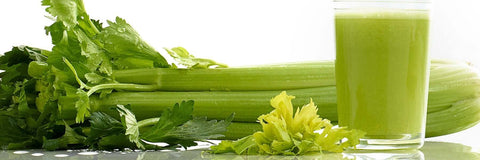 Low Speed, Celery Juicers