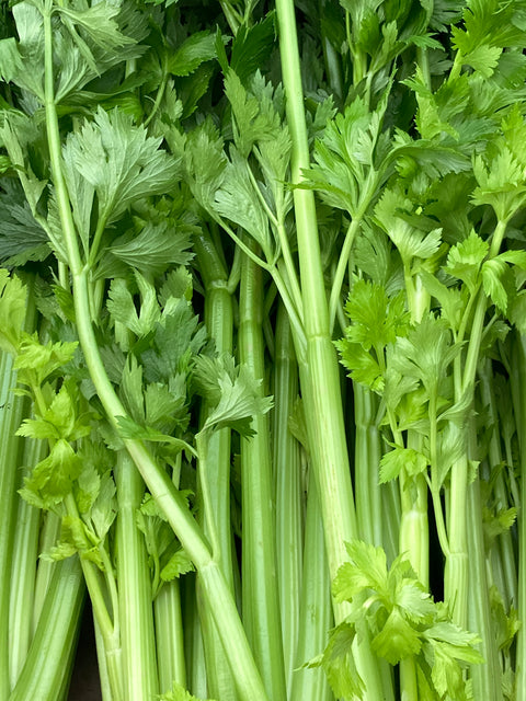 stalks of celery