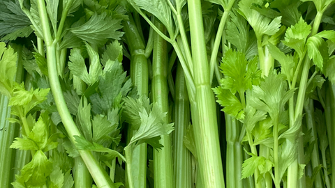 stalks of celery