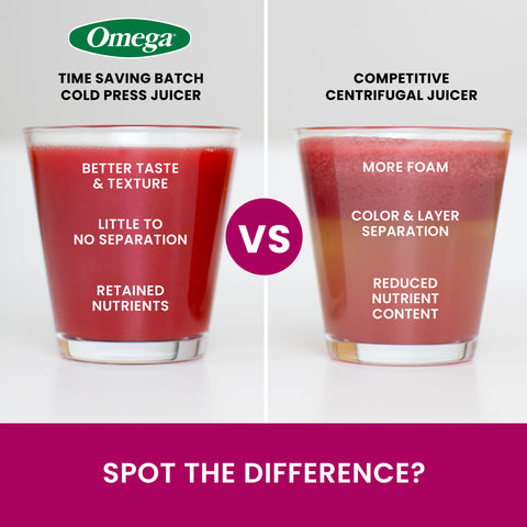 Omega Time Saving Cold Press Batch Juicer (OMJCSMVB)