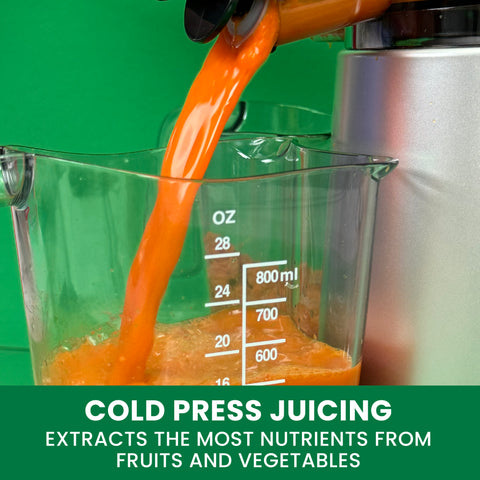 Omega Wide Mouth Vertical Cold Press Juicer (JC4000)