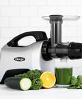 Omega Cold Press Masticating Horizontal Juicer with 3-Stage Augur, in Silver