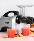 Omega Cold Press Masticating Horizontal Juicer with 3-Stage Augur, in Silver